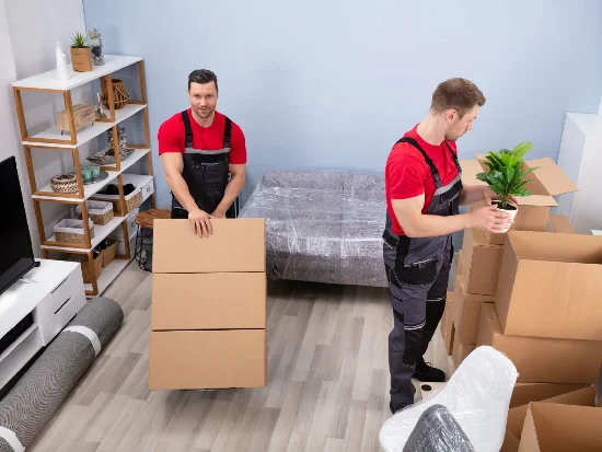 Removal Services Near Me